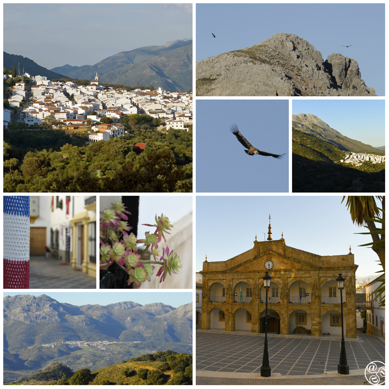 The village of Cortes de la Frontera in the Malaga province, Andalucía